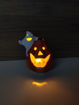 Picture of TERRACOTTA PUMPKIN WITH LED WITH GHOST SMALL